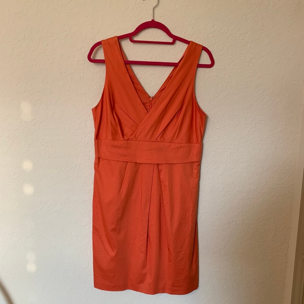 Tex by Max Azria V neck dress